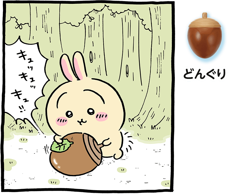 どんぐり