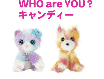 Who Are You ふーあーゆー セガトイズ